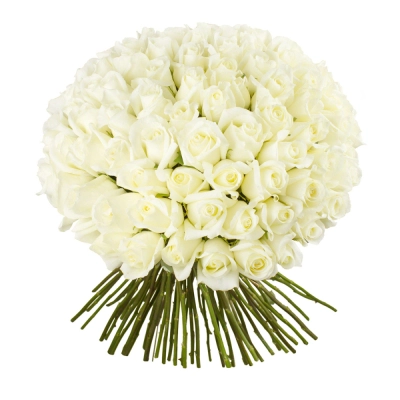 Роскошный букет из 101 белой розы – воплощение бесконечной любви Багратионовск Калининградская область