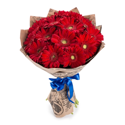 Яркий букет из 15 красных гербер – воплощение страсти и жизнерадостности Багратионовск Калининградская область
