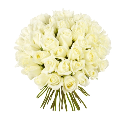 Роскошный букет из 51 белой розы – символ безграничной преданности Багратионовск Калининградская область