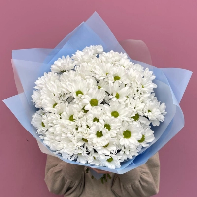 Букет «Ромашковое поле» – свежесть белых хризантем Багратионовск Калининградская область