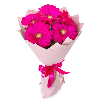 Букет из 5 малиновых гербер – сочный акцент вашего подарка Багратионовск Калининградская область