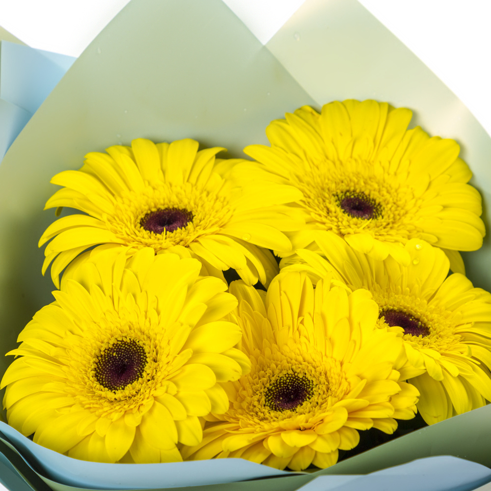 Яркий букет из 5 жёлтых гербер – как кусочек солнца в ваших руках Багратионовск Калининградская область