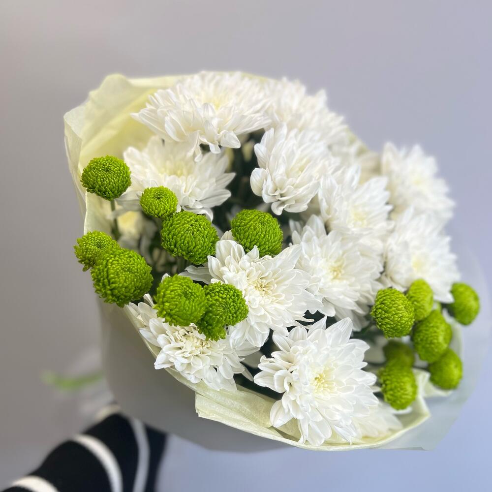 Эксклюзивный букет «Филин Грин» – сочетание белых и зеленых хризантем Багратионовск Калининградская область