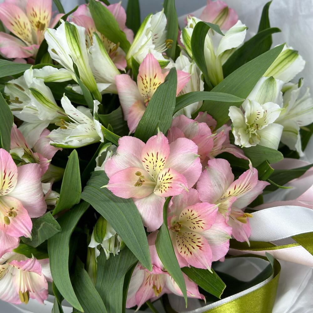 Букет «Нежность» – трогательное сочетание белых и розовых альстромерий Багратионовск Калининградская область