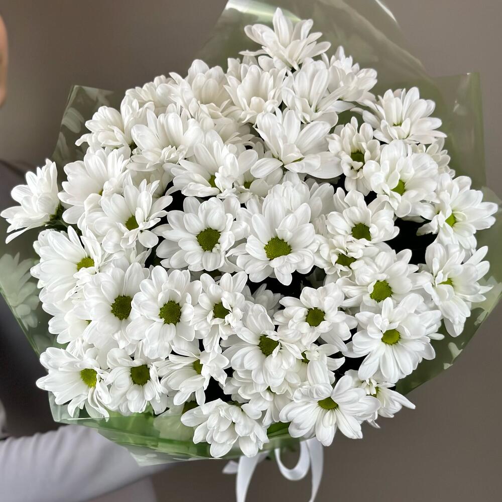 Букет «Мечты о лете» – свежесть белых хризантем Багратионовск Калининградская область