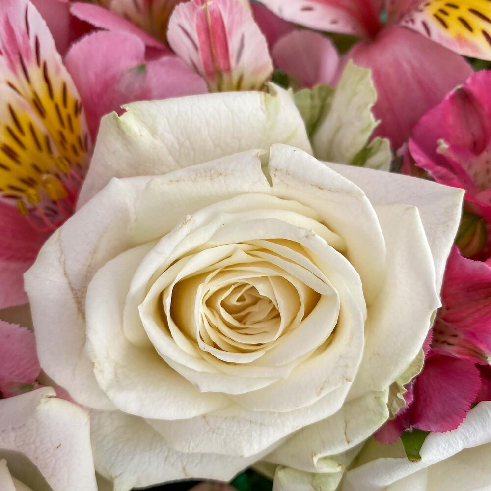 Букет «Николь» – изысканное сочетание роз, кустовых роз и альстромерий Багратионовск Калининградская область