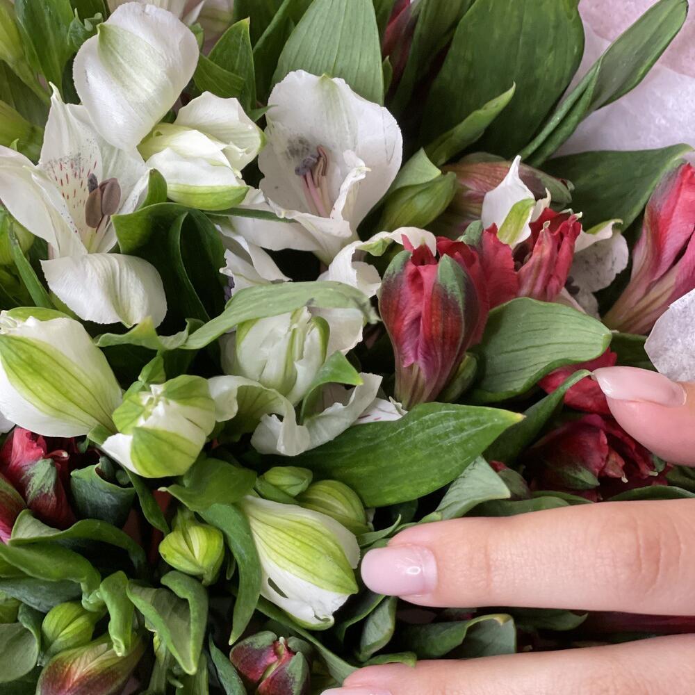 Букет «Люблю»– страсть и чистота в красно-белых альстромериях Багратионовск Калининградская область