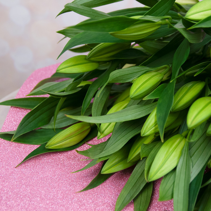 Изысканный букет из 15 свежих лилий – королевский подарок Багратионовск Калининградская область