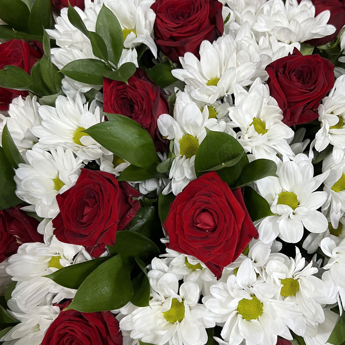 Букет «Романтика» — гармония красных роз и белоснежных хризантем Багратионовск Калининградская область